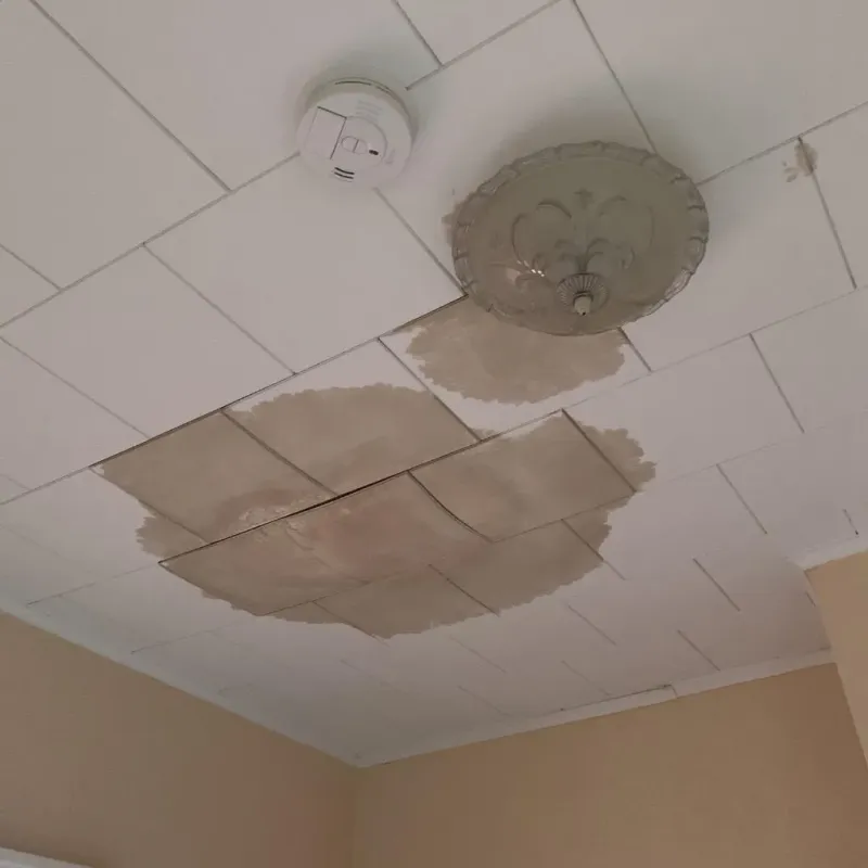 Ceiling Water Damage Repair in Lee County, SC